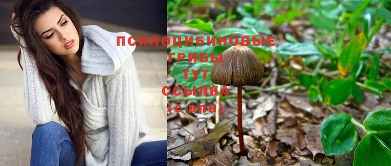 Галлюциногенные грибы Magic Shrooms  наркотики  Дрезна 